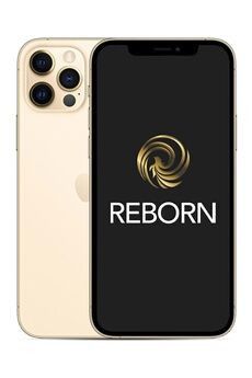 Reborn iPhone 12 Pro 128Go Or 5G Reconditionne Grade A