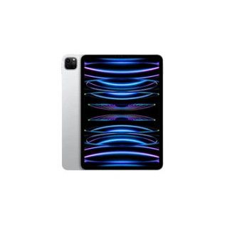 Apple IPAD PRO 11 M2 2TO ARGENT WI-FI CELLULAR FIN 2022