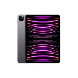 Apple Pro 4e génération 11'' 2022 Wifi 256 Go Gris sidéral - Reconditionné par Lagoona