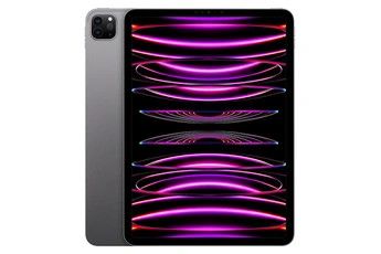 Apple Pro 4e génération 11'' 2022 Wifi 256 Go Gris sidéral - Reconditionné par Lagoona