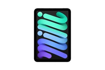 Apple Mini 8,3" 128 Go Gris Sidéral 5G 7 ème génération 2024