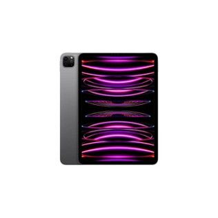 Apple IPAD PRO 11 M2 2TO GRIS SIDERAL WI-FI CELLULAR FIN 2022