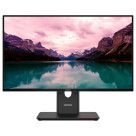 Lenovo ThinkVision T24-40