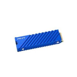 Pny CS2341 1 To Bleu pour PC et PS5