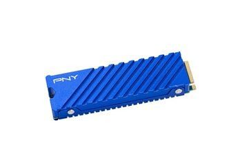 Pny CS2341 1 To Bleu pour PC et PS5